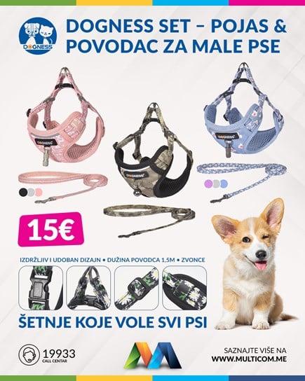 Dognes 19.5.